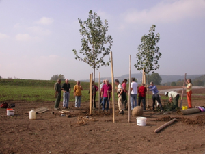 Remstal Hüterbaumpflanzung.png