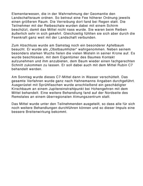 Datei:Körner Wolfgang Rubinverreibung Seminarbericht 2011 10 08.pdf